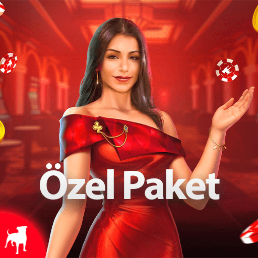 Özel Paket Görseli