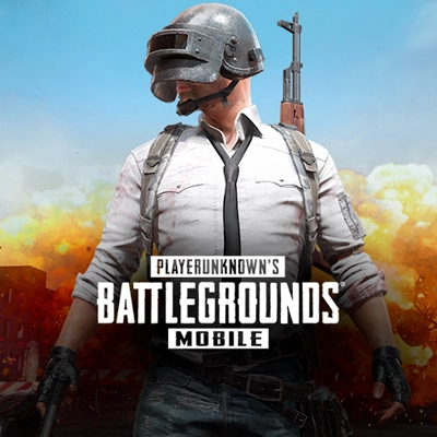 325 UC PUBG Mobile UC Chip